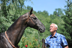 Директор завода Яков Дик Яковлевич